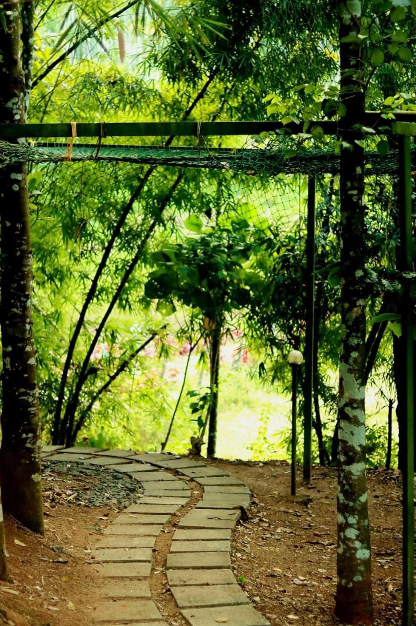Ayurnest Pool Resort Wayanad Batheri Zewnętrze zdjęcie