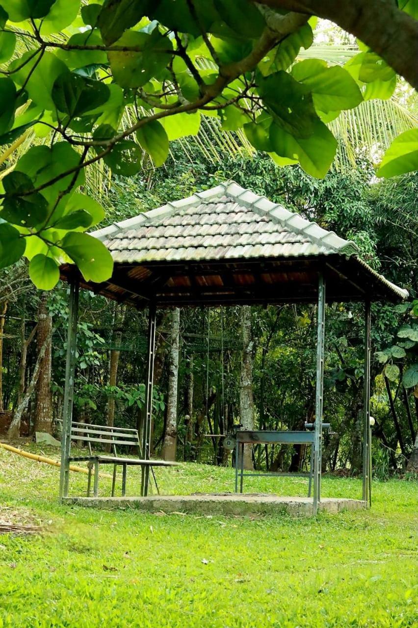 Ayurnest Pool Resort Wayanad Batheri Zewnętrze zdjęcie