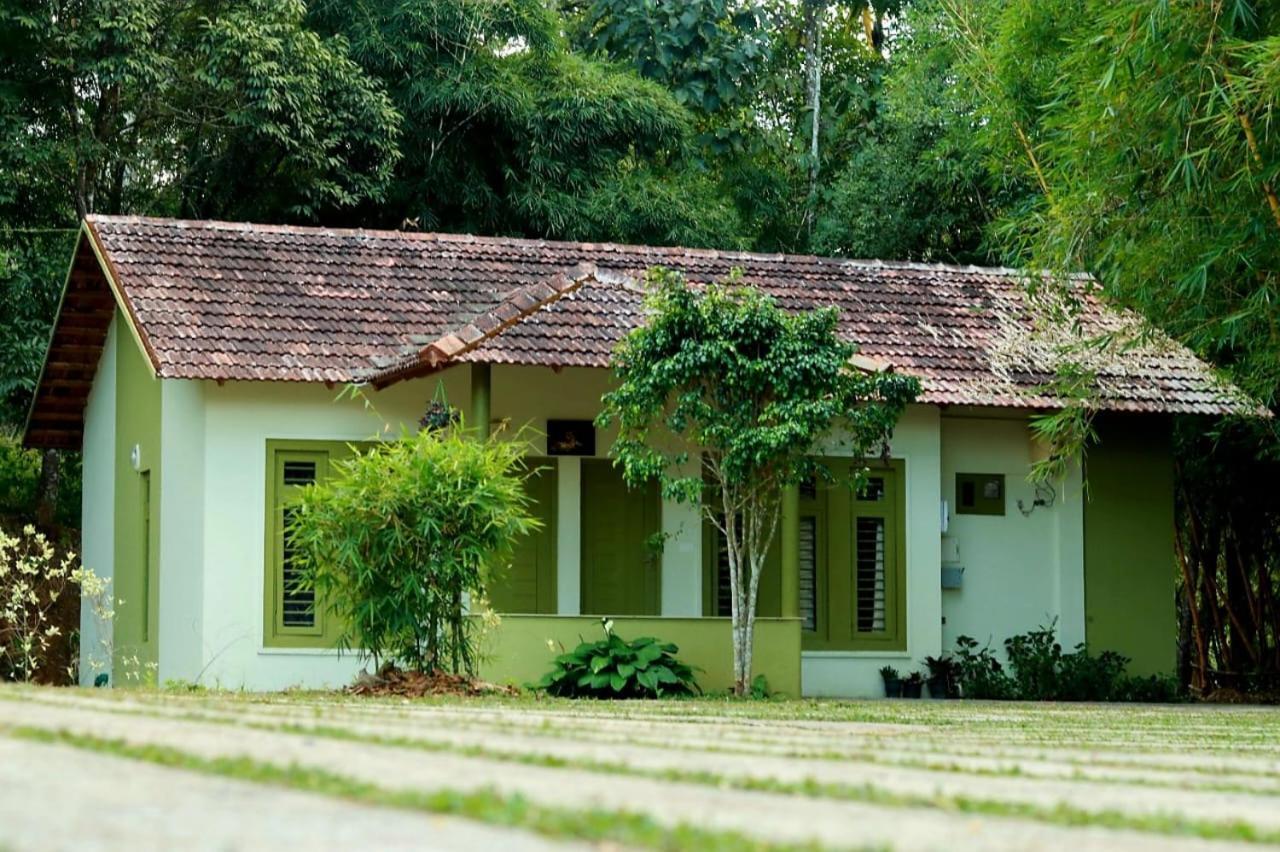 Ayurnest Pool Resort Wayanad Batheri Zewnętrze zdjęcie