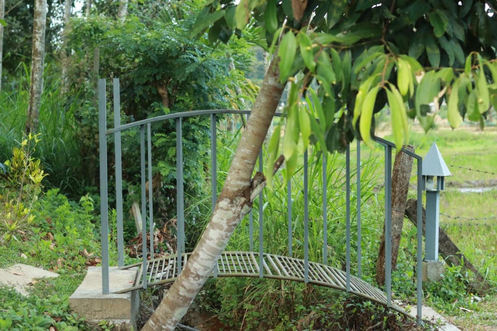 Ayurnest Pool Resort Wayanad Batheri Zewnętrze zdjęcie