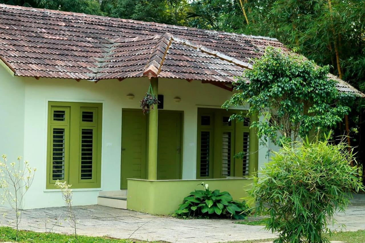 Ayurnest Pool Resort Wayanad Batheri Zewnętrze zdjęcie